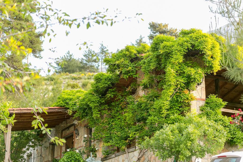 Olympos Mountain Lodge Beycik 外观 照片